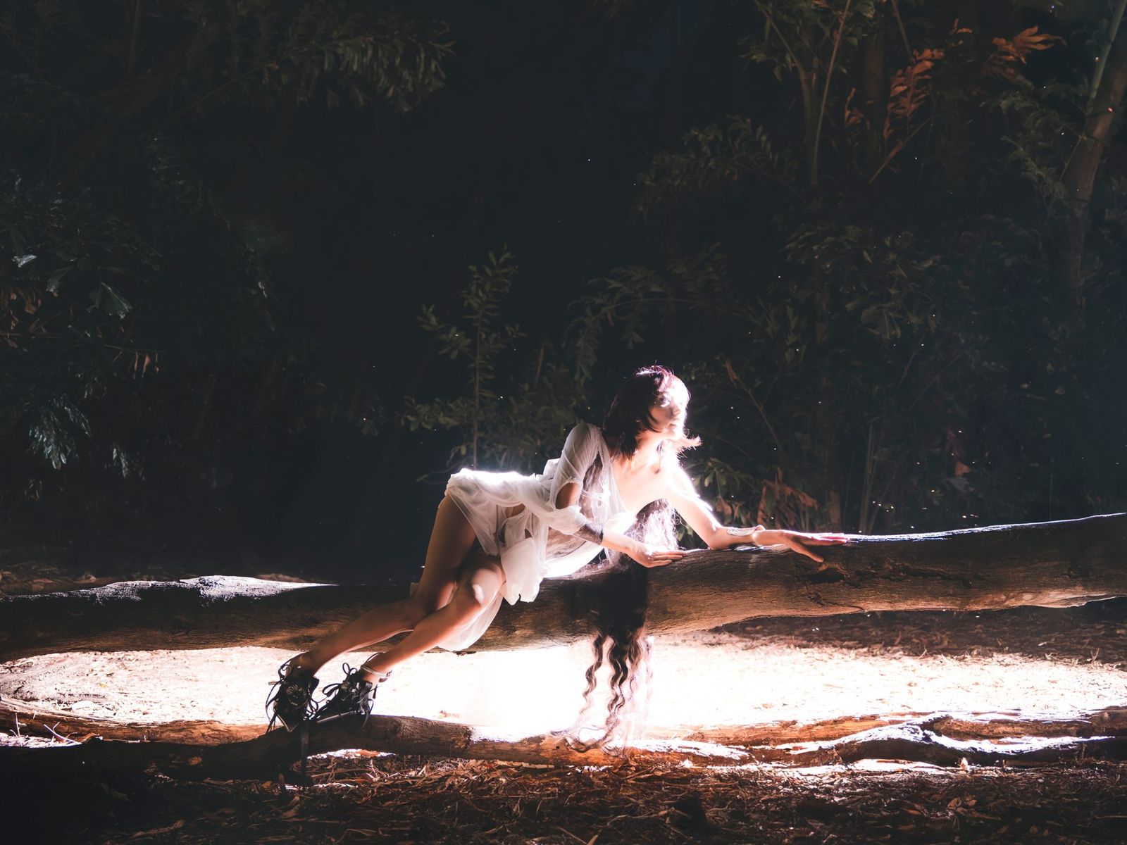 Model lit by a low beam across a fallen log